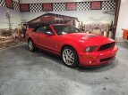 Thumbnail Photo 1 for 2008 Ford Mustang Shelby GT500 Convertible